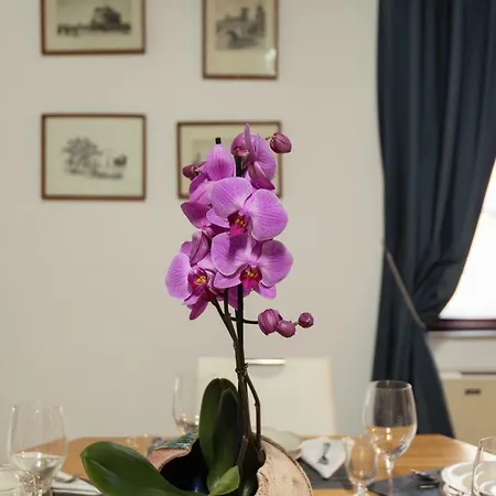 Pantheon - Domus Artis Ii Apartman